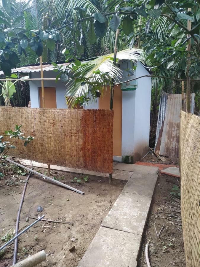 Mecong Homestay Ben Tre Eksteriør billede