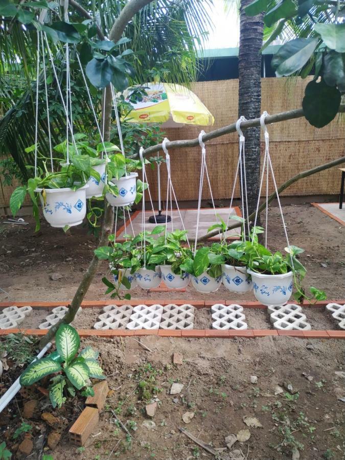 Mecong Homestay Ben Tre Eksteriør billede